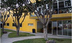 Instituto para la paz galeria 7
